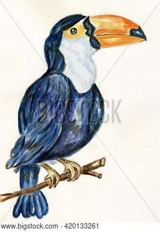 Toukan Bird Art