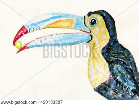 Toukan Bird Art