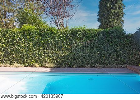 Backyard With Outdoor Inground Residential Swimming Pool, Garden, Deck And Green Hedge Sunny Day In