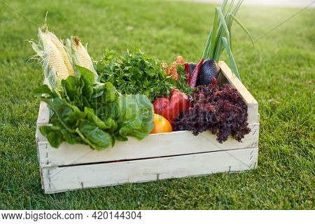 Grocery Box With Fresh Vegetables Standing On Green Grass Outdoo