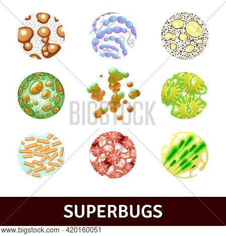Round Superbugs Realistic Set With Various Bacteria And Microbes Isolated Vector Illustration