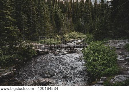Log Bridge Over Rushing Creek In Glacier National Park