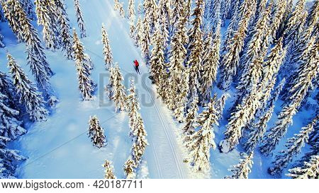 Woman Cross Country Skiing Through An Idyllic Winter Wonderland With Snow Capped Trees.
