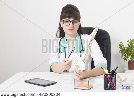 Doctor Woman In A Medical Office With A Mock Up Of The Spine In Her Hands. Back Pain Treatment Conce