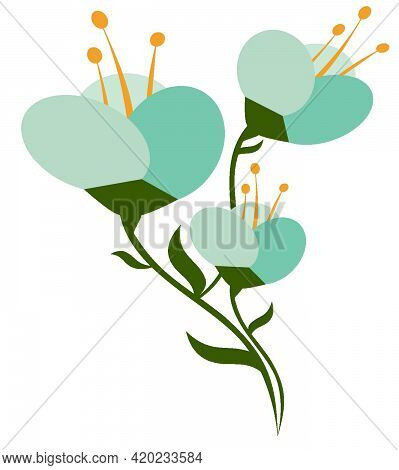 Blue Flowers With Yellow Stamens. Flowers On A Stem With Petals. Isolated.
