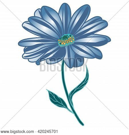 Vector Image Of A Stylized Osteospermum Flower In Blue Tones On A White Background
