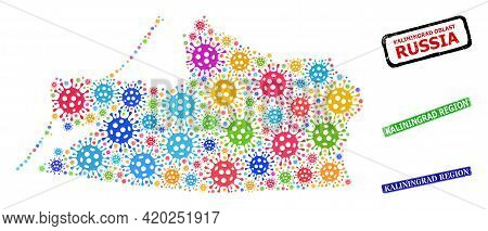 Vector Contagious Mosaic Kaliningrad Region Map, And Grunge Kaliningrad Region Badges. Vector Colorf
