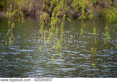 Bor Lake Artificial Lake In Eastern Serbia Near The City Of Bor