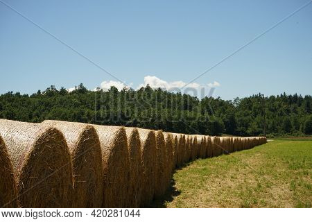 Some Bales Of Hay In The Nature Reserve Of The Sources Of Belbo Near Camerana, Piedmont - Italy