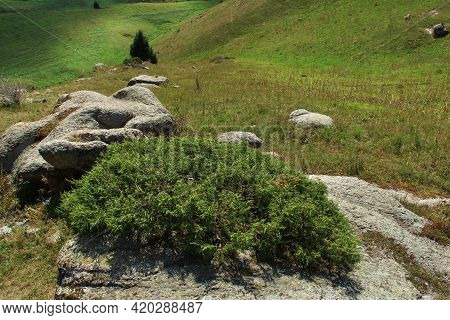 Large Gray Stones With A Gentle Green Bush Against The Background Of A Green Mountain Slope And A Ra