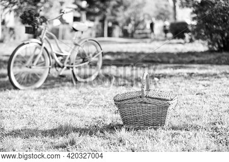 Picnic Time. Vintage Bike Garden Background. Rent Bike To Explore City. Nature Cycling Tour. Retro B