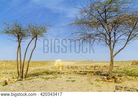 View Of The Gorny Observation Point, With Sheep In The Background, In Arad, Southern Israel