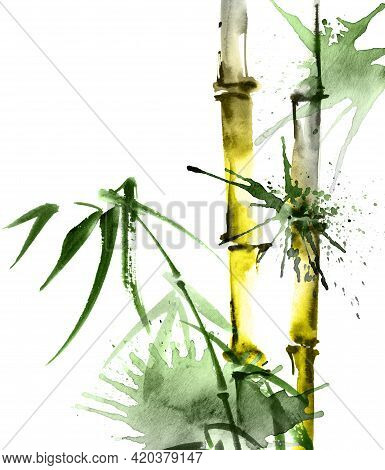 Watercolor Illustration Of Bamboo With Leaves And Watersplashes On White Background. Oriental Tradit