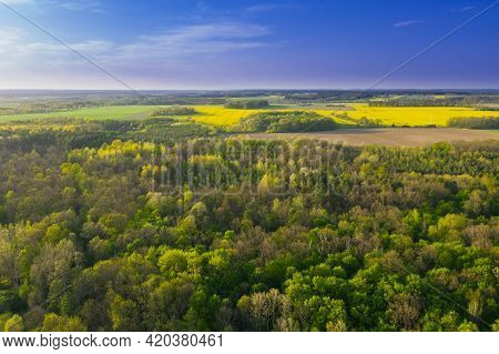 Spring In Arable Fields. Yellow-blooming Rapeseed.\na Vast Plain Covered With Arable Fields, In Plac