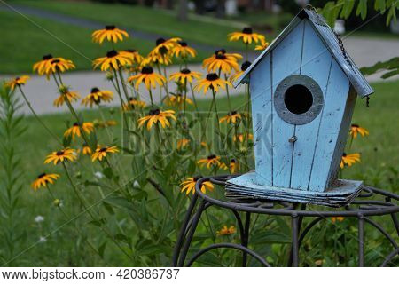 Blue Decretive Birdhouse Surrounded By Black Eyed Susan Flowers