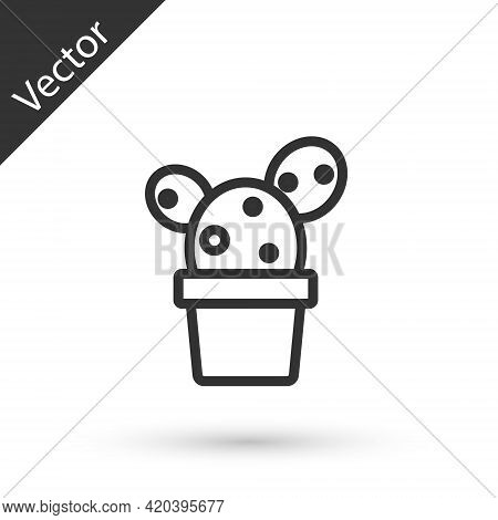 Grey Line Cactus And Succulent In Pot Icon Isolated On White Background. Plant Growing In A Pot. Pot