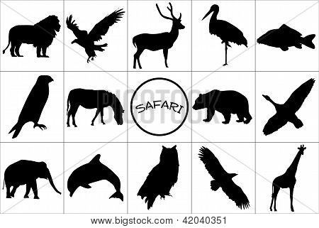 Silhouettes ดำของสัตว์