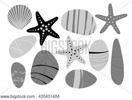 Achromatic Beach Pebbles, Starfish, Shell Set. Various Grey Shapes. Modern Illustration In Vector. D