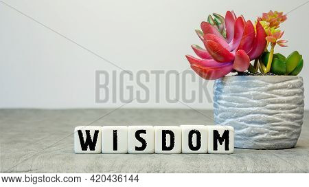 Soft Cubes With The Abbreviation Wisdom With A Flower On A White Background