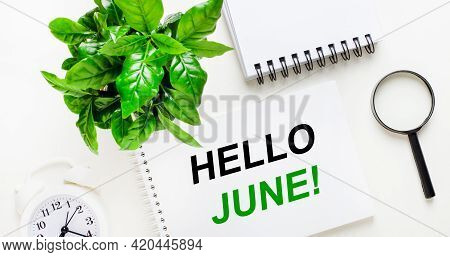 On A Light Background, There Is A White Alarm Clock, A Magnifying Glass, A Green Plant And A Noteboo