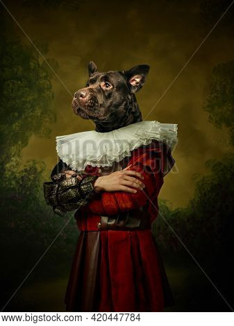 Model Like Medieval Royalty Person In Vintage Clothing Headed By Dog Head On Dark Vintage Background