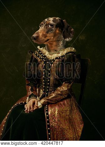 Model Like Medieval Royalty Person In Vintage Clothing Headed By Dog Head On Dark Vintage Background