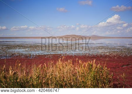 Panorama Of The Koyashskoe Pink Salt Lake In The National Opuk Reserve
