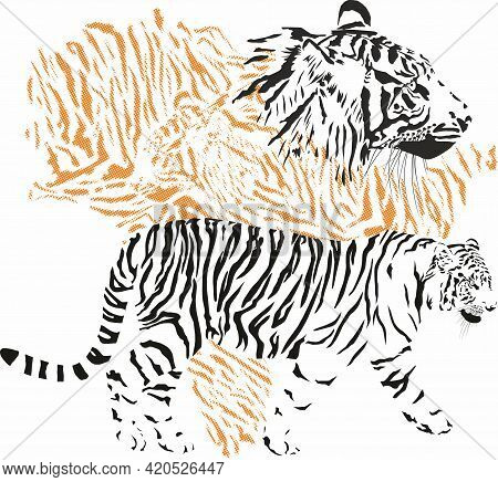 Vector Illustration With Tiger Fur Pattern And Tiger Head Background With Indian Peninsula Map