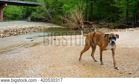 Ponca Low-water Bridge In Arkansas During Flood