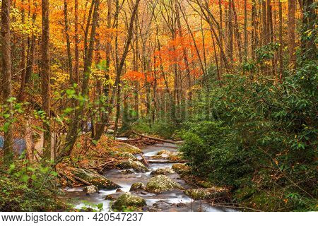 Smith Creek flowing from Anna Ruby Falls, Georgia, USA in autumn. 