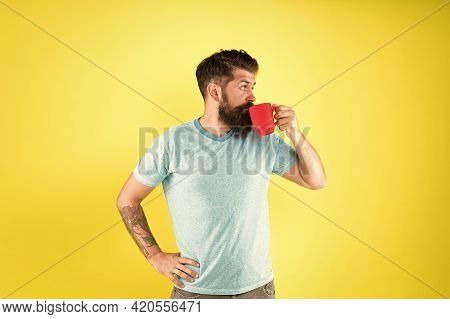 Hipster Tastes And Aesthetics. Energy Concept. Hipster Barista Yellow Background. Coffee Shop. Beard