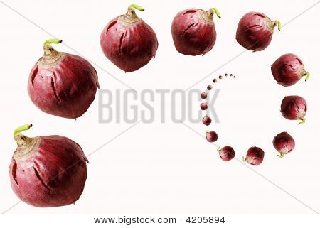 Løg