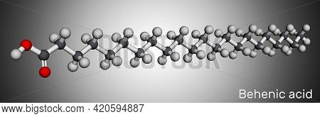 Behenic Acid, Molecule. It Is Docosanoic Acid, Straight-chain, Long-chain Saturated Fatty Acid. Mole