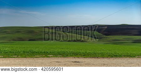 Pastoral Landscape In Green Kahetia Fields