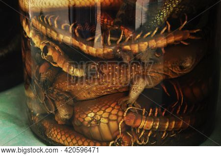 Laotian Made Traditional Liquor Fermented And Pickled With Poisonous Animals Insect With Herbal Herb