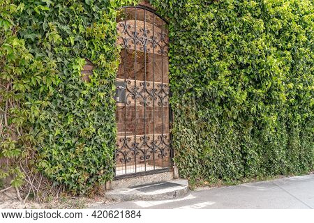 Castle Gate Arch With Ivy. The Arch Of The Castle Gate Is Covered With Green Ivy. The Entrance To Th