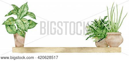 Hand Drawn Banner With Houseplants In Brown Pots On The Wooden Shelf Isolated On The White Backgroun