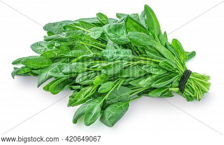 Spinach Leaves Isolated On White Background. Bunch Of Fresh Green Baby Spinach Top View. Flat Lay.