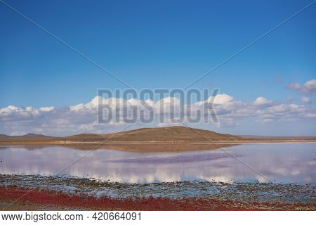 Panorama Of The Koyashskoe Pink Salt Lake In The National Opuk Reserve