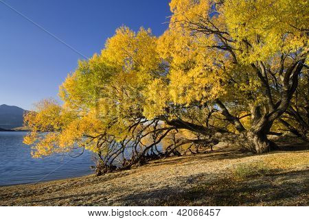 Lake Wanaka, Uusi-Seelanti