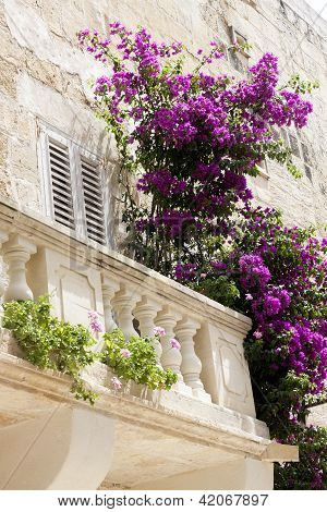 Gamle sten balkon med blomster