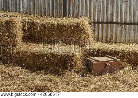 Piled Stacks Of Dry Straw Collected For Animal Feed. Dry Baled Hay Bales Stack.