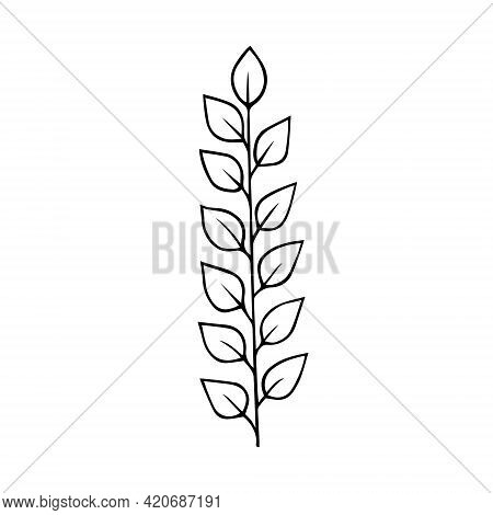 Plant Twig With Leaves Hand Drawn Doodle Outline. Frame Border Black Design Element. Greeting Card I