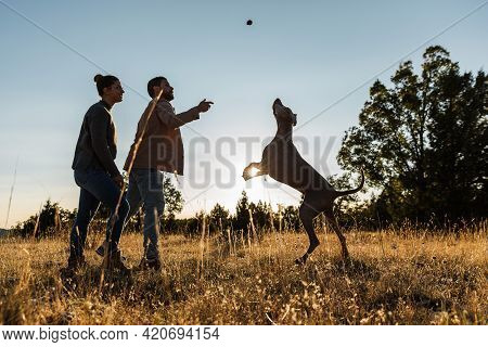 A Young Boy And A Young Girl Play With A Dog In The Mountains. In A Natural Park