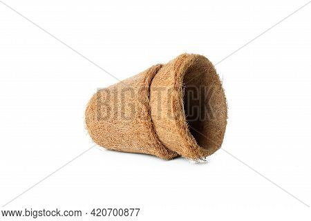 Сoconut Plant Pots Isolated On White Background