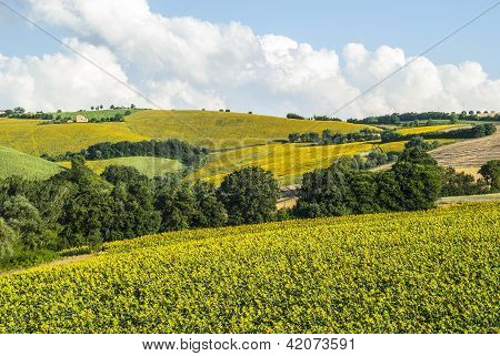 Marcher (Italien), landskab