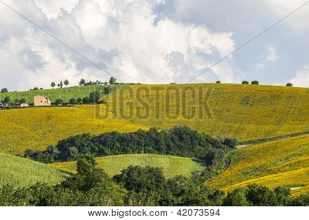 Marcher (Italien), landskab