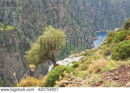 A Village On The Edge Of A Canyon Of Valley Of The Butterflies Beach From Above, In The Village Of F