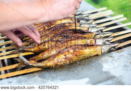 Close Up Of Delicious, Marinated Grilled Mackrele On The Bbq Grill, Seafood Concept