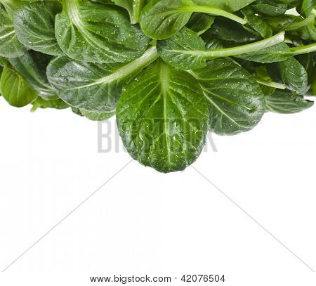 čerstvé zelené listy špenátu nebo pak choi izolovaných na bílém pozadí